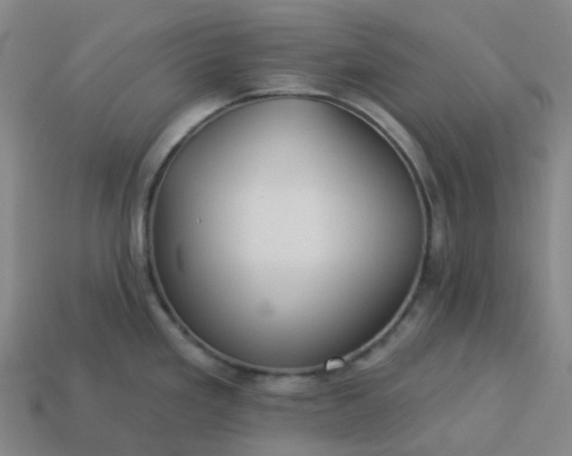 X0000114081293200910191534