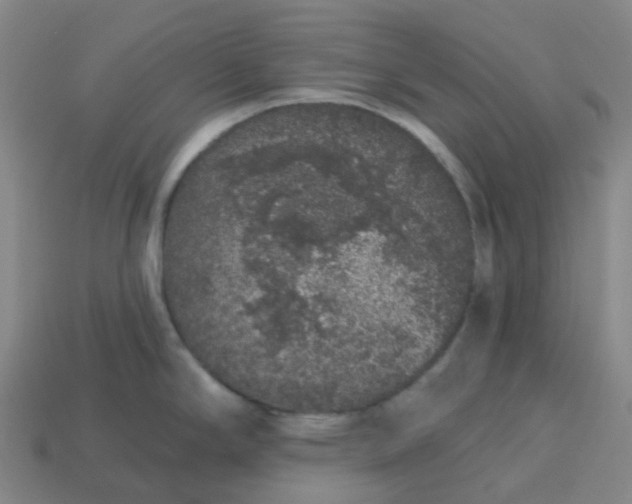 X0000114081294200910191534