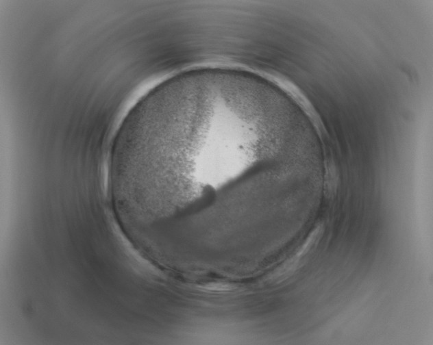 X0000114081295200910191534