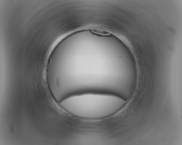 X0000114081296200910191534