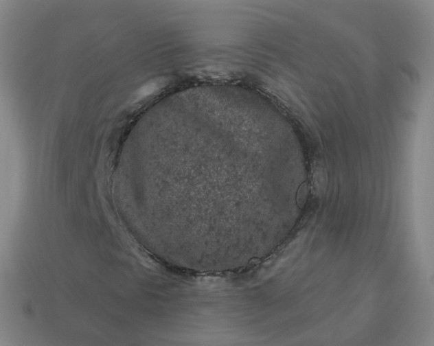 X0000114081297200910191534