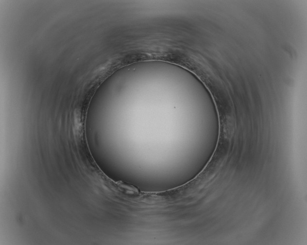 X0000114081298200910191534