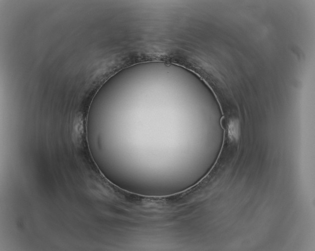 X0000114081299200910191534