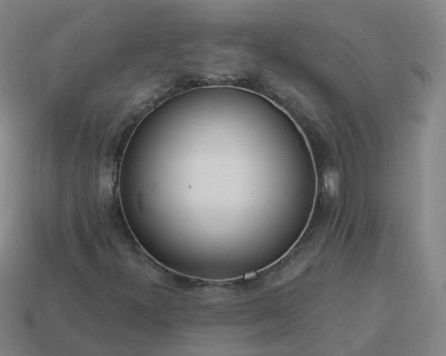 X0000114081300200910191534