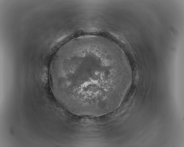 X0000114081301200910191534