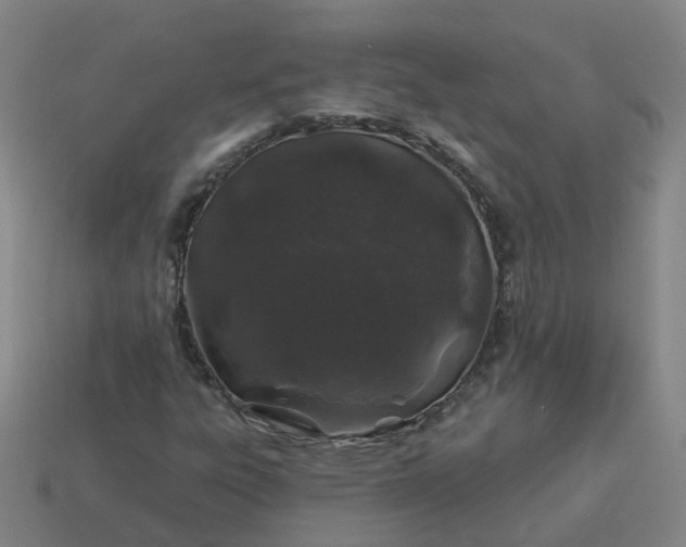 X0000114081303200910191534