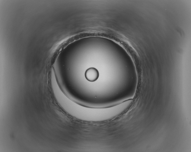 X0000114081304200910191534