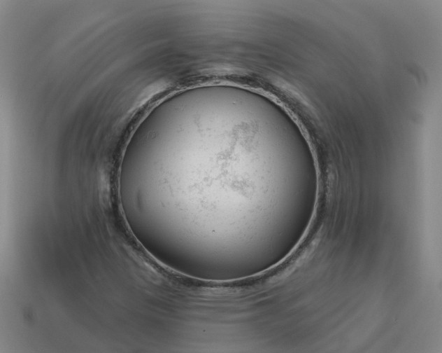 X0000114081305200910191534