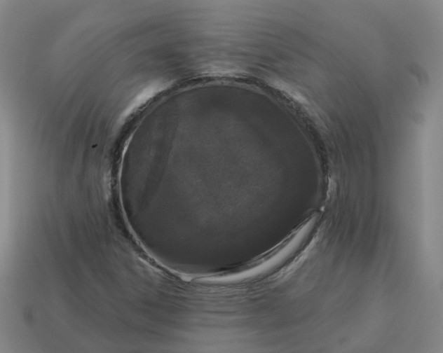 X0000114081306200910191534