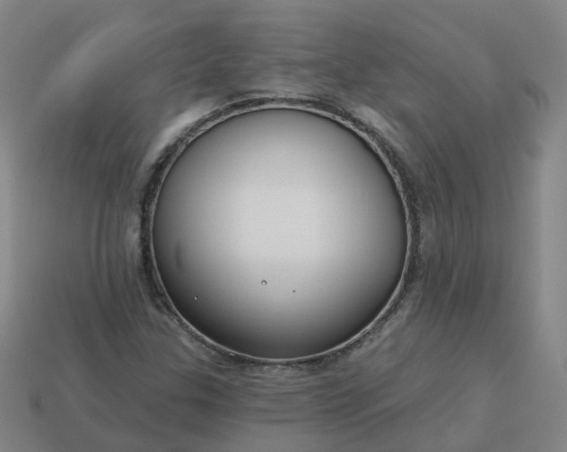 X0000114081307200910191534