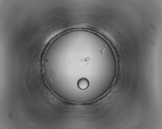 X0000114081308200910191534