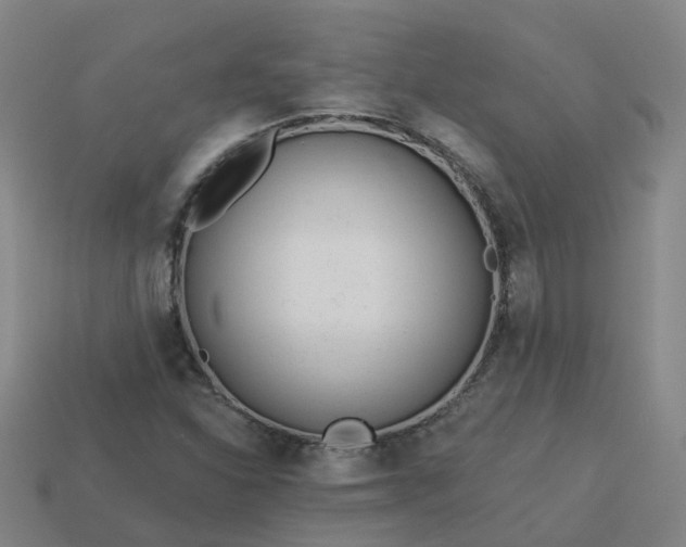 X0000114081310200910191534