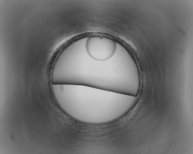 X0000114081311200910191534