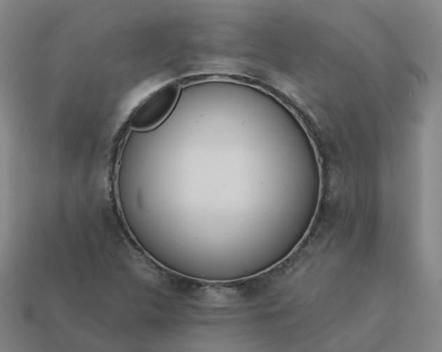 X0000114081312200910191534