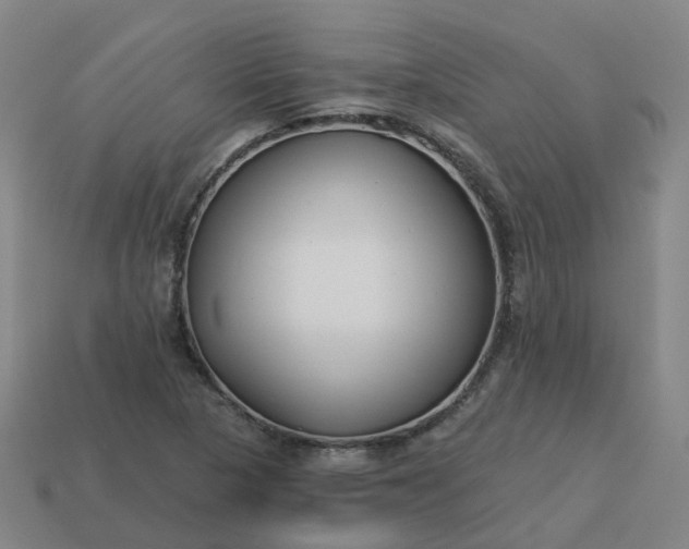 X0000114081313200910191534