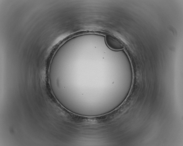 X0000114081315200910191534