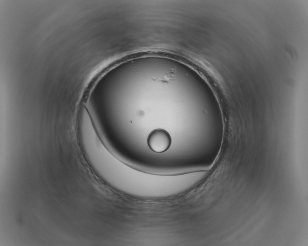 X0000114081316200910191534