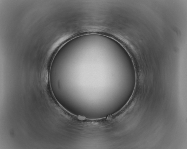 X0000114081317200910191534