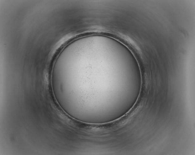 X0000114081318200910191534