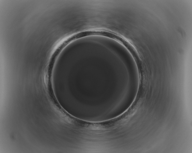 X0000114081319200910191534