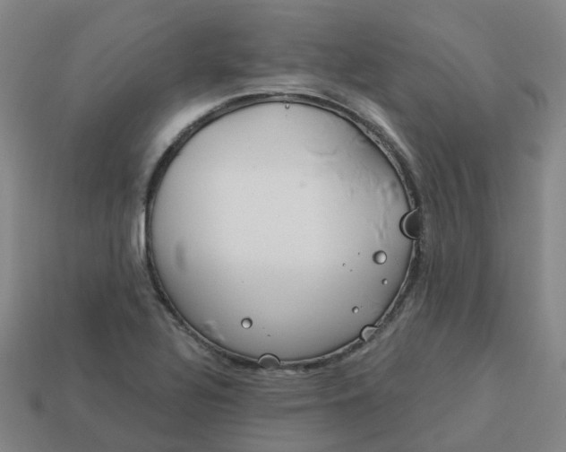 X0000114081320200910191534