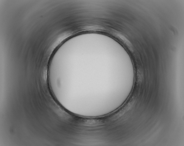 X0000114081322200910191534