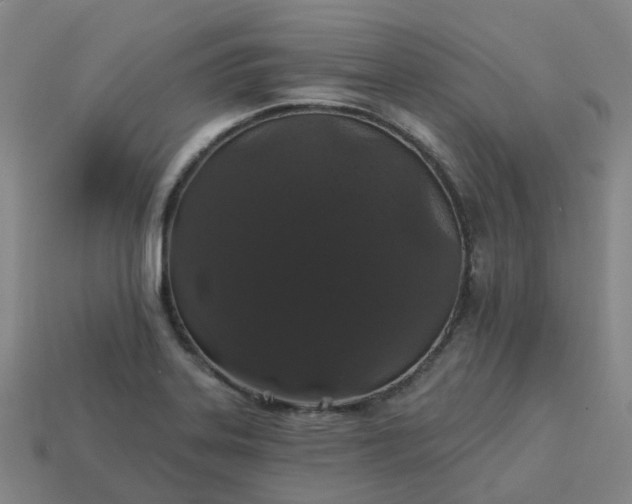 X0000114081323200910191534