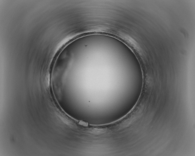 X0000114081324200910191534