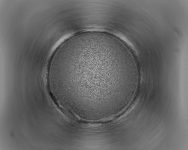 X0000114081325200910191534