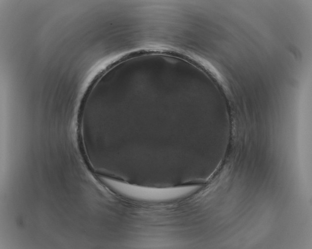 X0000114081327200910191534