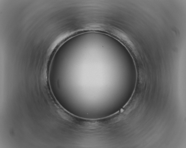 X0000114081328200910191534