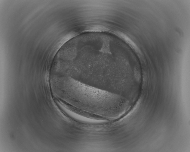 X0000114081329200910191534