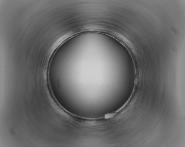 X0000114081330200910191534