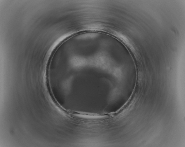 X0000114081331200910191534