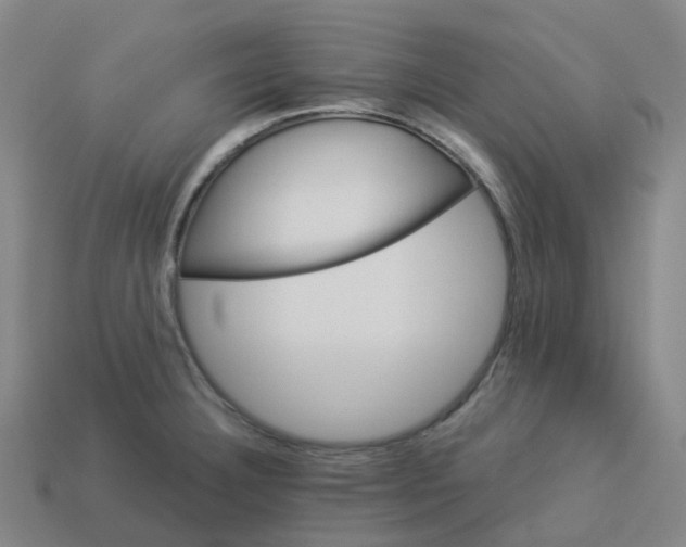 X0000114081332200910191534