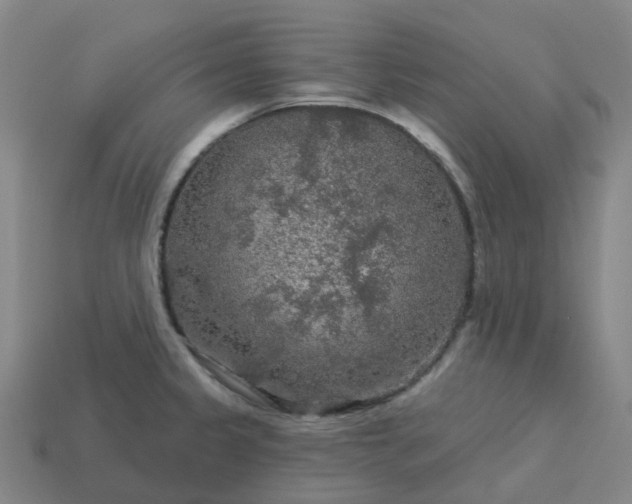 X0000114081333200910191534