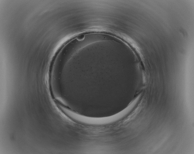 X0000114081334200910191534