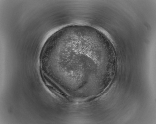 X0000114081335200910191534