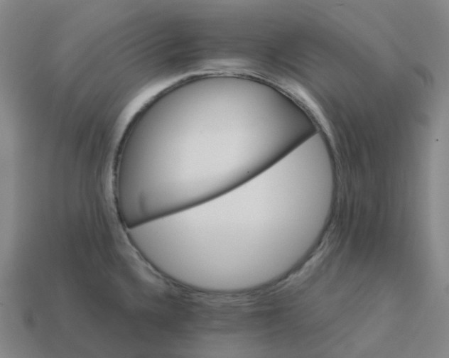 X0000114081336200910191534