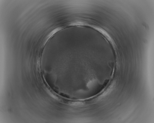 X0000114081337200910191534