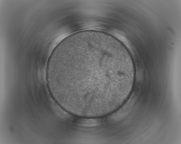 X0000114081338200910191534