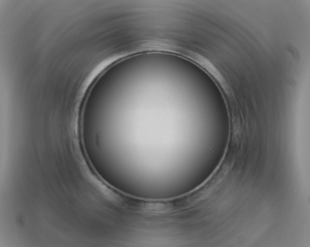 X0000114081339200910191534