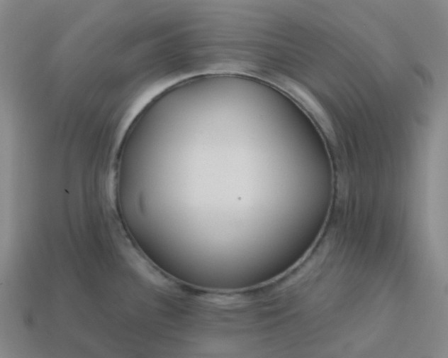 X0000114081340200910191534