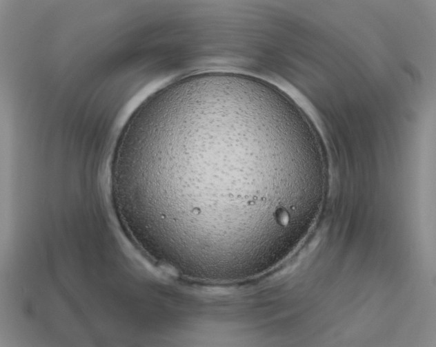 X0000114081341200910191534