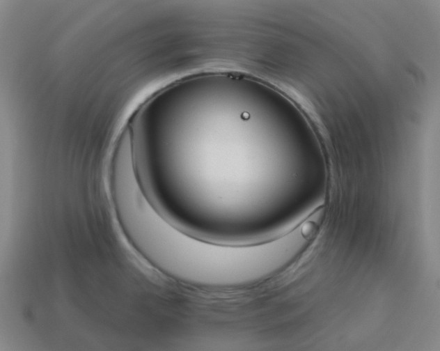 X0000114081342200910191534