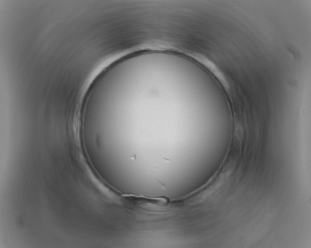 X0000114081343200910191534