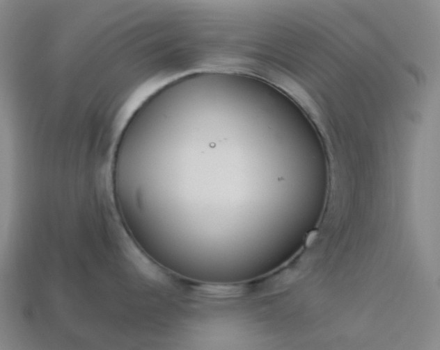 X0000114081344200910191534