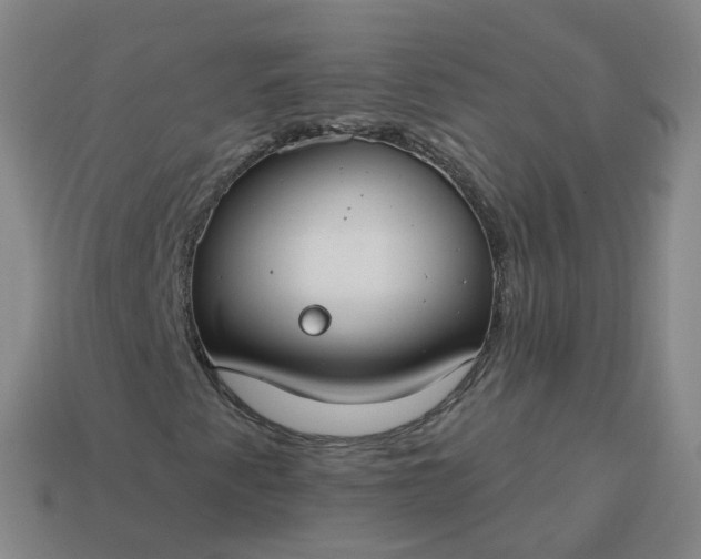 X0000114081345200910191534