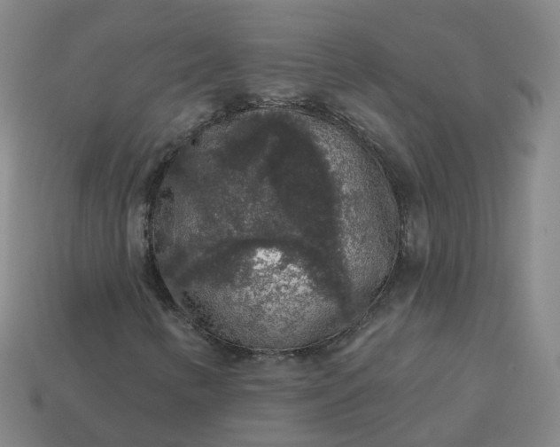 X0000114081346200910191534