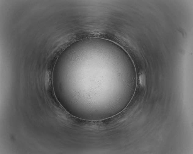 X0000114081347200910191534